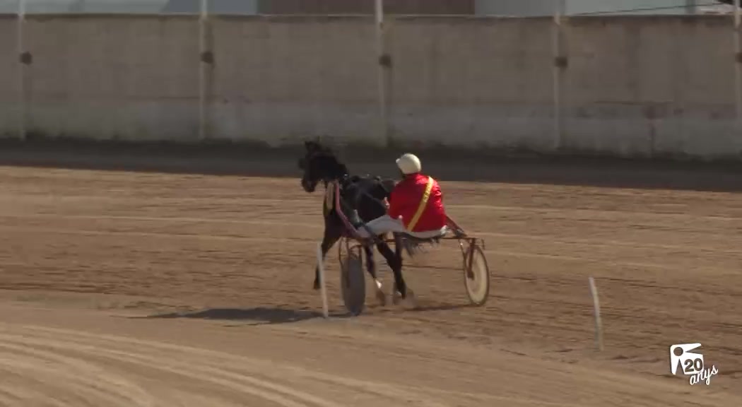 16/10 Trot: Cabriols i Guarniments