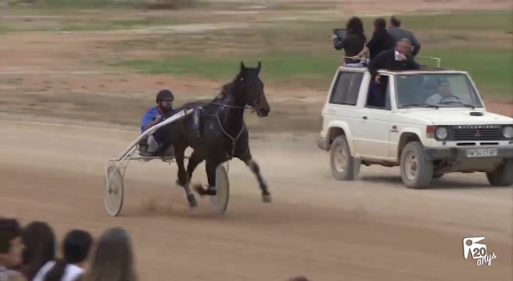 21/11 Trot: Cabriols i Guarniments