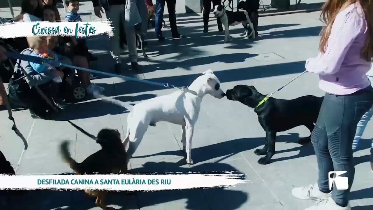 04/03 Eivissa en festes – Desfilada Canina a Santa Eulària